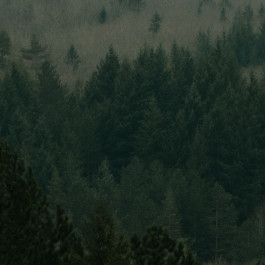 PopKorn Films | Video Production and Creative Studio