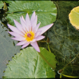 PopKorn Films | Video Production and Creative Studio