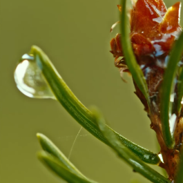 PopKorn Films | Video Production and Creative Studio