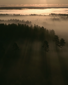 PopKorn Films | Video Production and Creative Studio