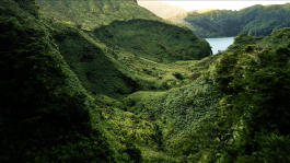 PopKorn Films | Video Production and Creative Studio