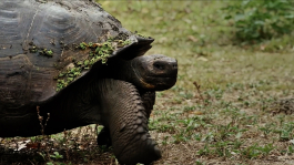 PopKorn Films | Video Production and Creative Studio