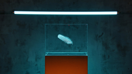 PopKorn Films | Video Production and Creative Studio